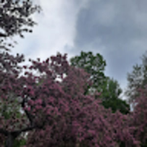 Meet your Posher, Georgia